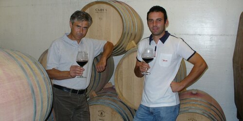 David Sterza - Amarone & Valpolicella David Sterza - Amarone & Valpolicella