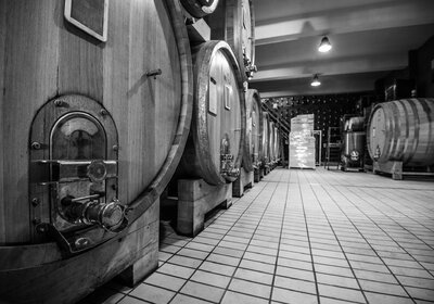 Enrico Rivetto - Barolo - Barbera d'Alba Enrico Rivetto - Barolo - Barbera d'Alba