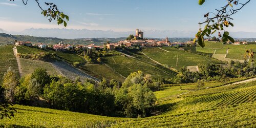 Enrico Rivetto - Barolo - Barbera d'Alba