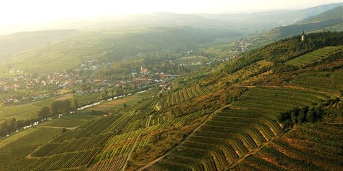 Weingut Fred Loimer - Langenlois (bio) Weingut Fred Loimer - Langenlois (bio)