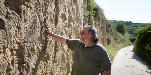 Weingut Bernhard Ott - Wagram (bio) Weingut Bernhard Ott - Wagram (bio)