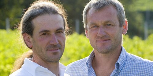 Tamellini - Soave (bio) Tamellini - Soave (bio)