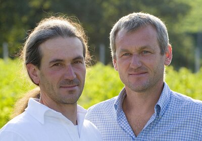 Tamellini - Soave (bio) Tamellini - Soave (bio)