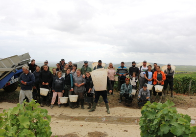 Domaine Pascal & Nicolas Reverdy - Sancerre (bio) Domaine Pascal & Nicolas Reverdy - Sancerre (bio)
