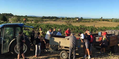 Domaine Benjamin Taillandier - Minervois (bio) Domaine Benjamin Taillandier - Minervois (bio)