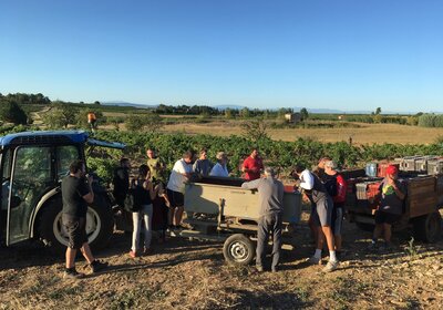 Domaine Benjamin Taillandier - Minervois (bio) Domaine Benjamin Taillandier - Minervois (bio)