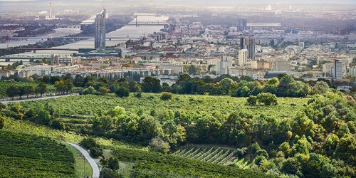 Weingut Fritz Wieninger - Wenen (bio) Weingut Fritz Wieninger - Wenen (bio)