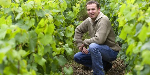 Domaine J. Dauvissat - Chablis Domaine J. Dauvissat - Chablis