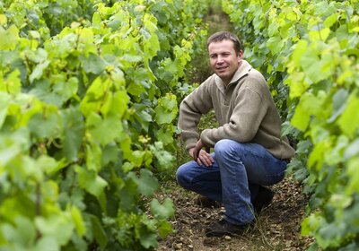 Domaine J. Dauvissat - Chablis Domaine J. Dauvissat - Chablis