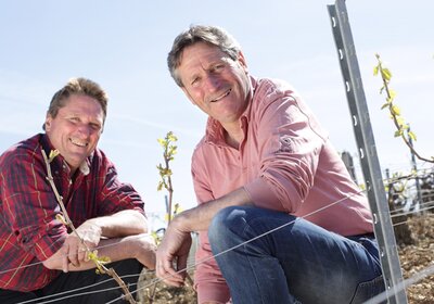 Domaine Gilbert Picq - Chablis Domaine Gilbert Picq - Chablis