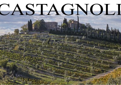 Castagnoli - Chianti Classico Castagnoli - Chianti Classico