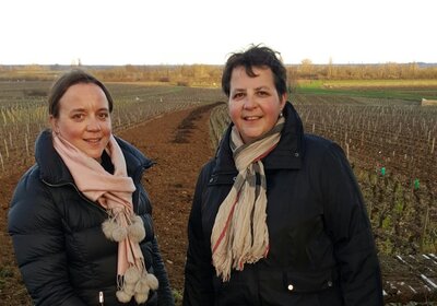 Domaine Hubert Bouzereau-Gruère à Meursault - Saint-Aubin - Chassagne-Montrachet Domaine Hubert Bouzereau-Gruère à Meursault - Saint-Aubin - Chassagne-Montrachet