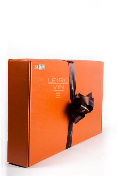 Cantinetta 6 fles oranje LGLD0016.jpg